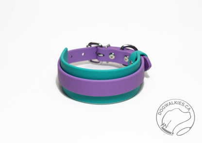 Thinner Style Biothane Dog Collar in Two Tone - 1.5 inch (38mm) and 3/4" (20mm) wide (Copy)