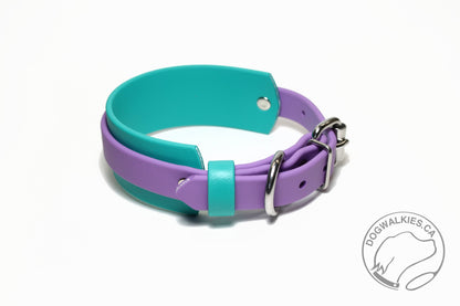 Thinner Style Biothane Dog Collar in Two Tone - 1.5 inch (38mm) and 3/4" (20mm) wide (Copy)
