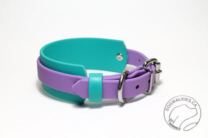 Thinner Style Biothane Dog Collar in Two Tone - 1.5 inch (38mm) and 3/4" (20mm) wide (Copy)