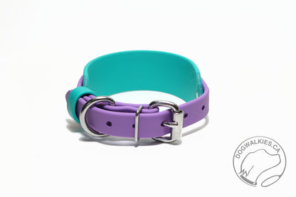 Thinner Style Biothane Dog Collar in Two Tone - 1.5 inch (38mm) and 3/4" (20mm) wide (Copy)