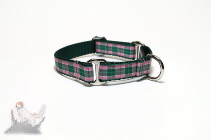 MacDonald of Kingsburgh Clan tartan - dog collar