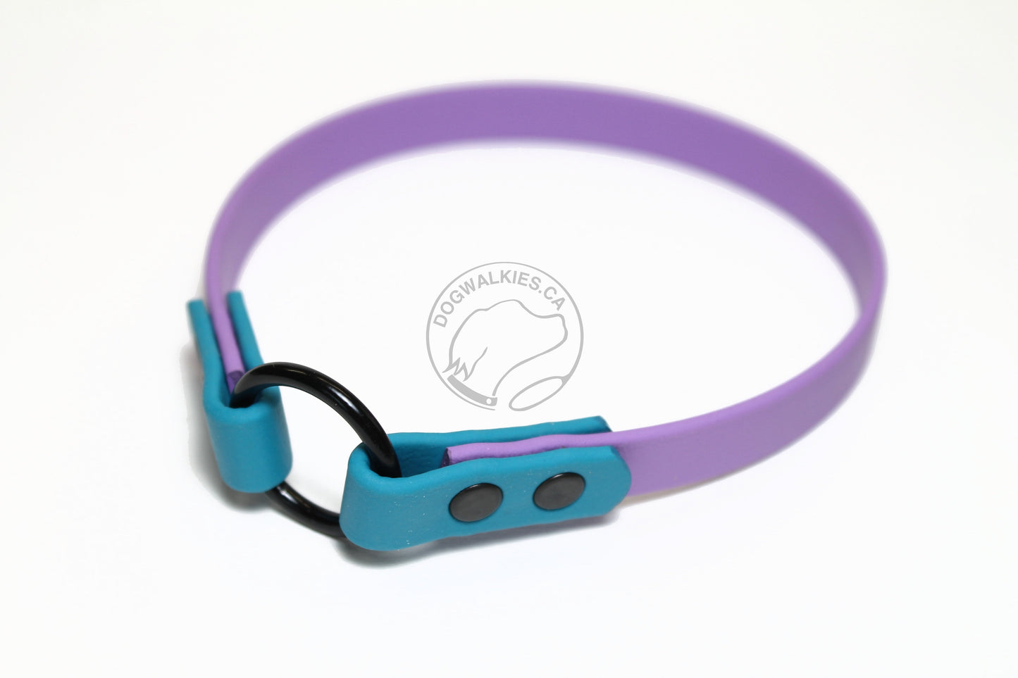 Chill Home Tag Collar Biothane Bicolour Dog Collar - Waterproof -  1/2" (12mm) wide