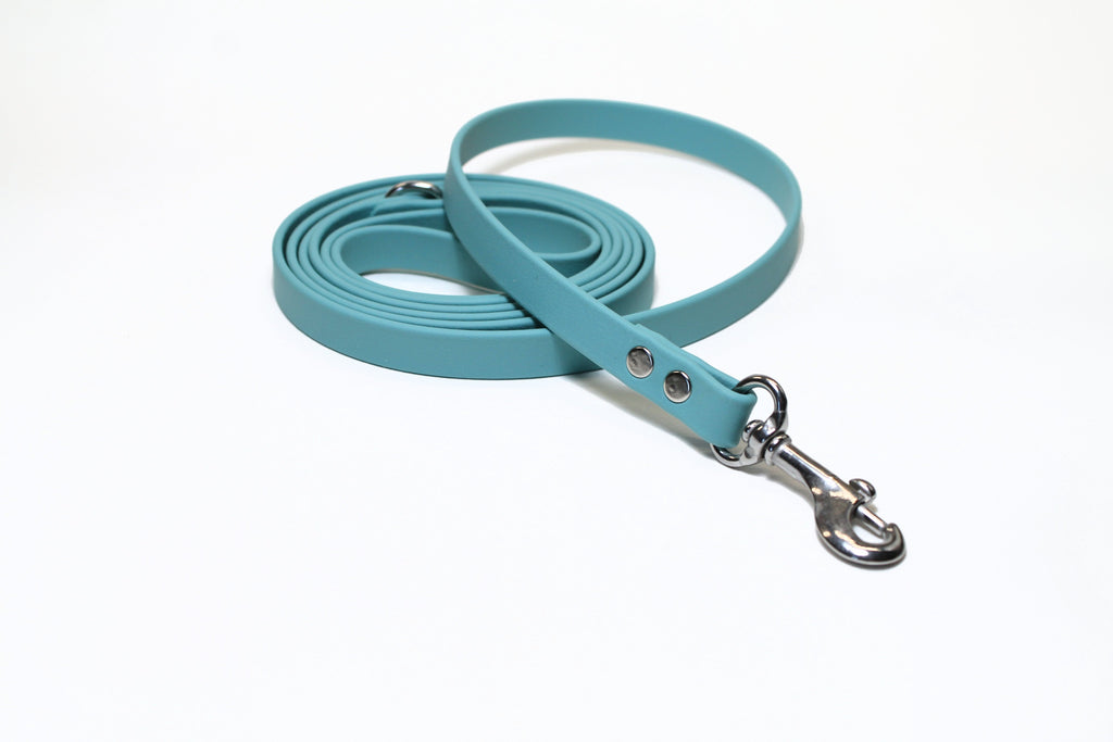 **NEW Dusty Turquoise Biothane Small Dog Leash