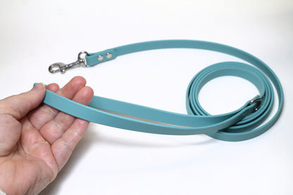 Dusty Turquoise Biothane Small Dog Leash