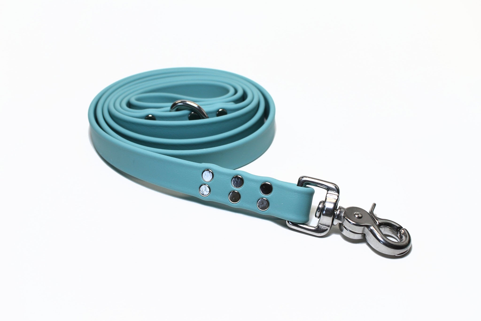 **NEW Dusty Turquoise Biothane Large Dog Leash