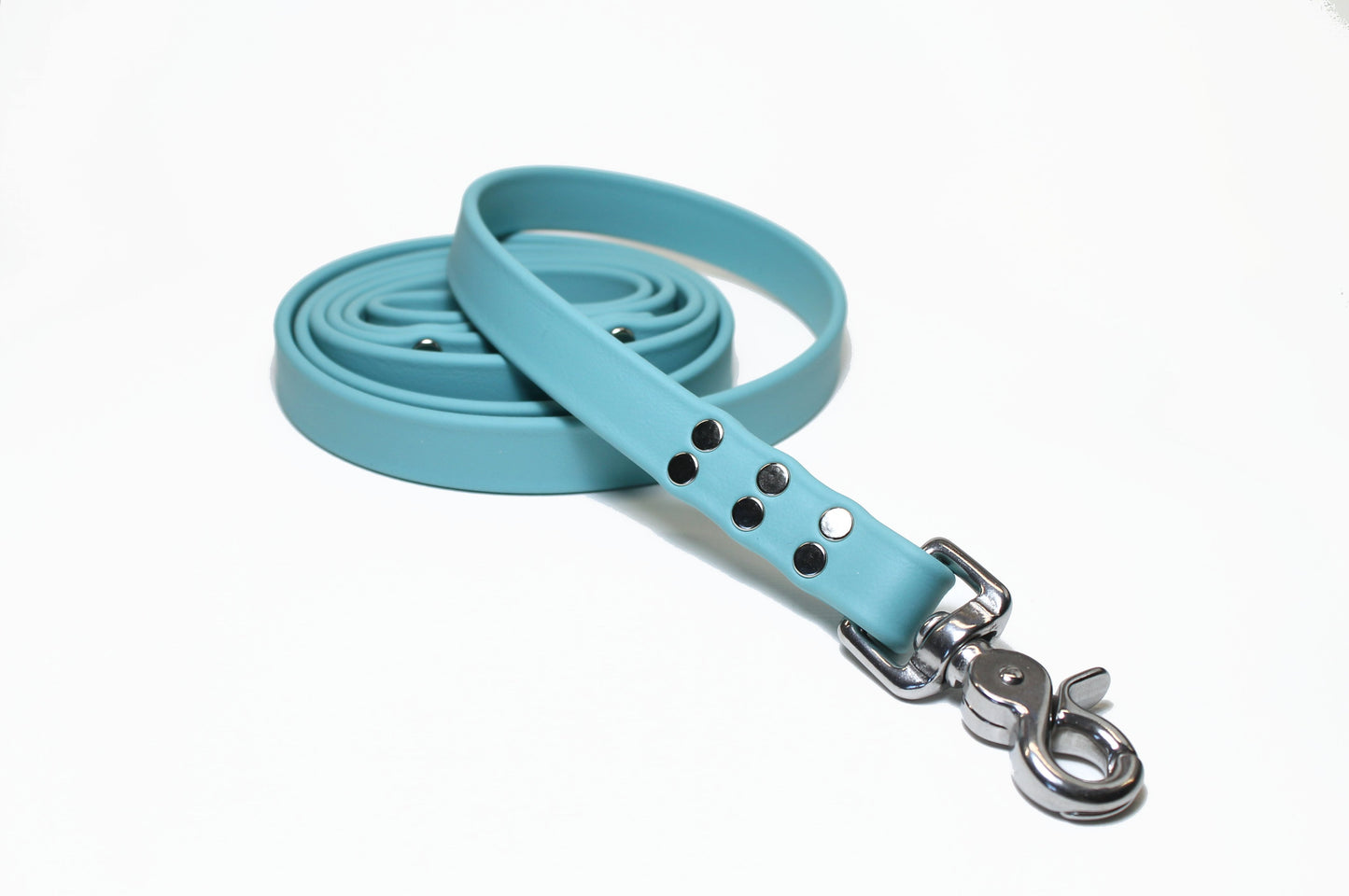 Dusty Turquoise Biothane Large Dog Leash