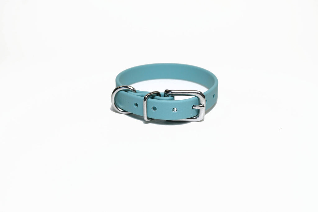 **NEW Dusty Turquoise Biothane Small Dog Collar - 1/2" (12mm) wide