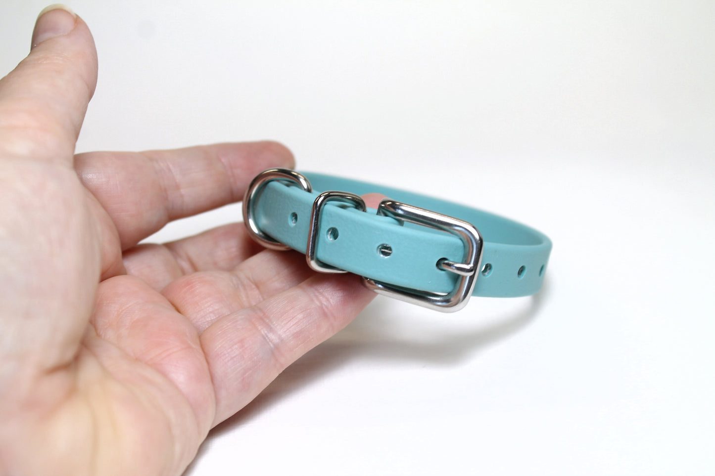 Dusty Turquoise Biothane Small Dog Collar - 1/2" (12mm) wide