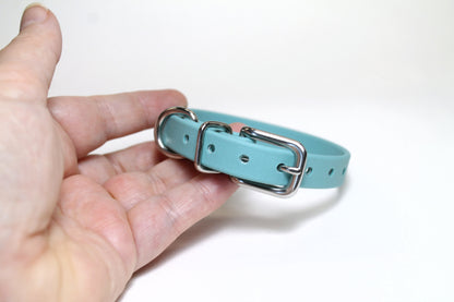 Dusty Turquoise Biothane Small Dog Collar - 1/2" (12mm) wide