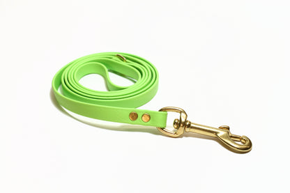 Lime Green Biothane Small Dog Leash