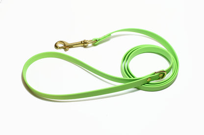 Lime Green Biothane Small Dog Leash