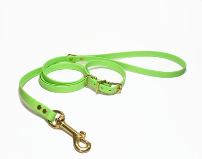 Lime Green Biothane Small Dog Leash