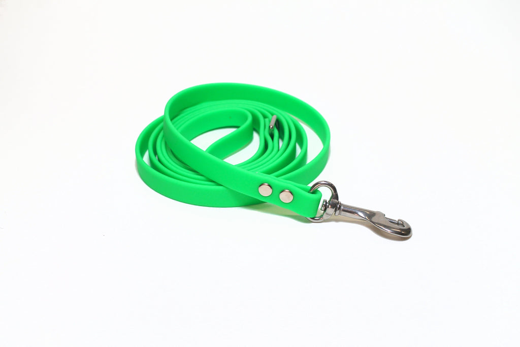 Neon Apple Green Biothane Small Dog Leash