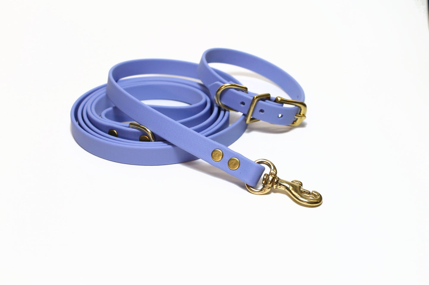Periwinkle Biothane Small Dog Leash - thin leash