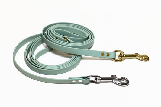 Sage Green Biothane Small Dog Leash