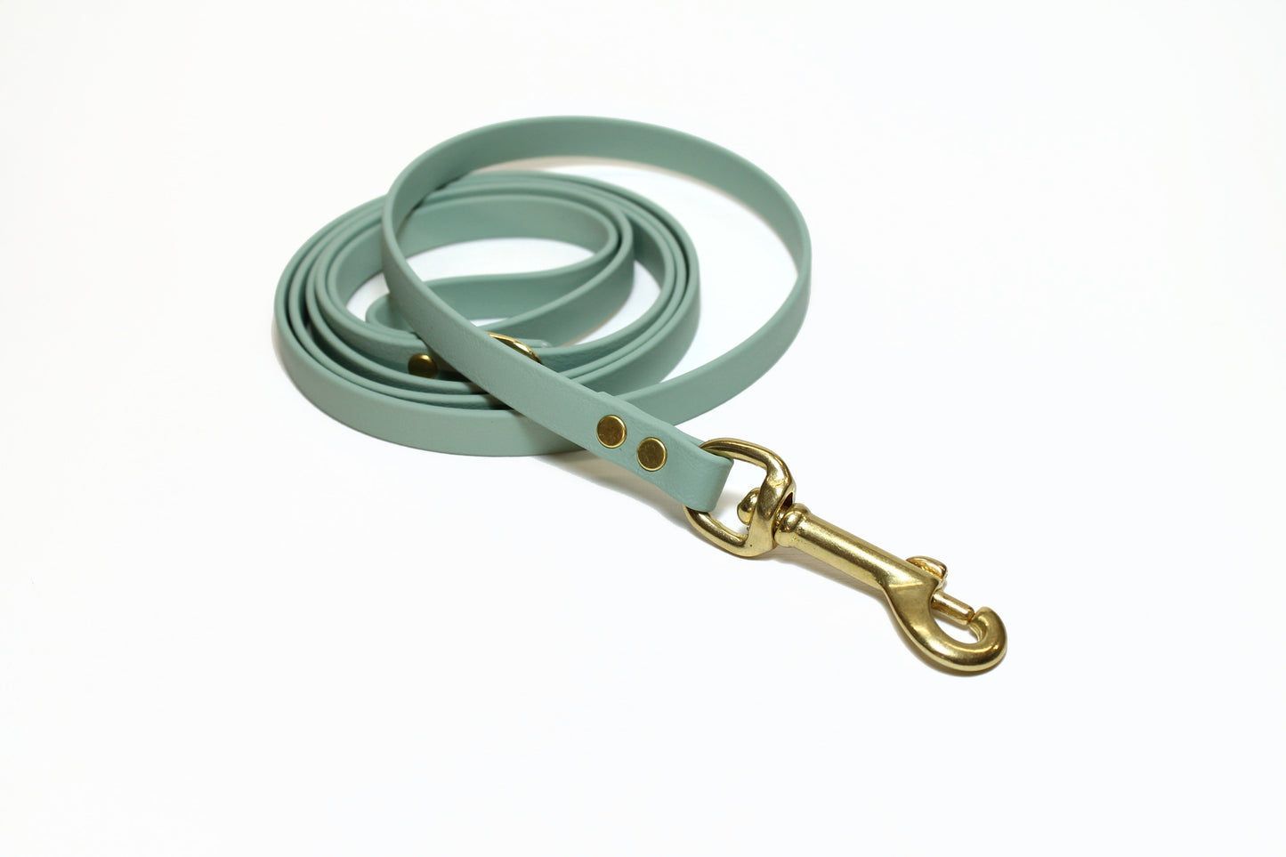 Sage Green Biothane Small Dog Leash