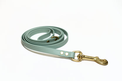 Sage Green Biothane Small Dog Leash