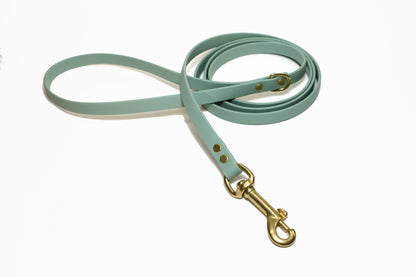 Sage Green Biothane Small Dog Leash