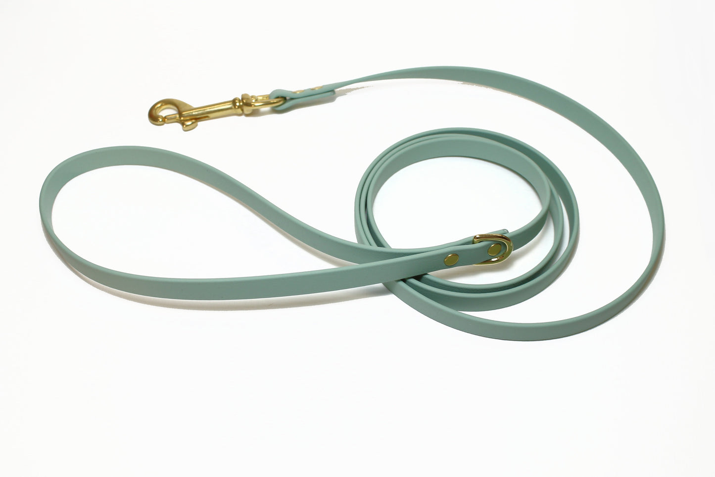 Sage Green Biothane Small Dog Leash
