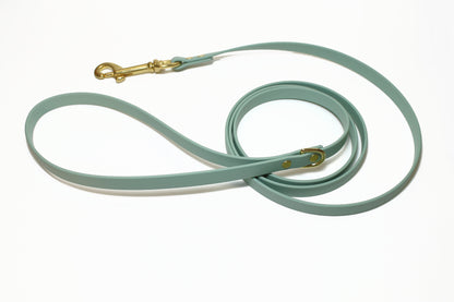 Sage Green Biothane Small Dog Leash