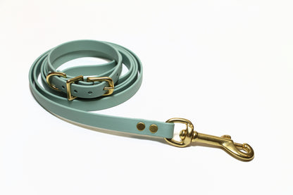 Sage Green Biothane Small Dog Leash