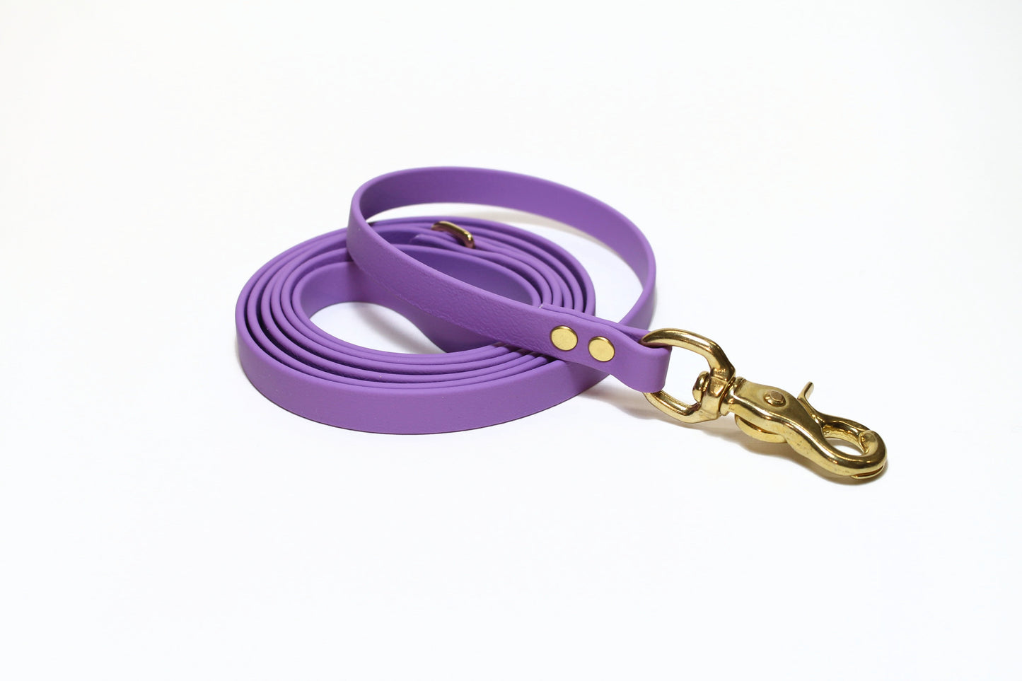 Amethyst Biothane Small Dog Leash