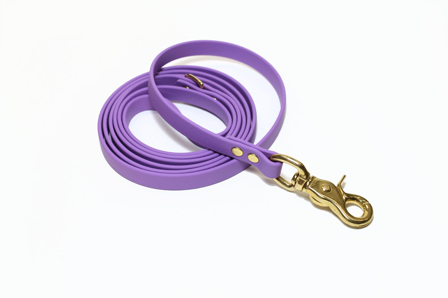 Amethyst Biothane Small Dog Leash