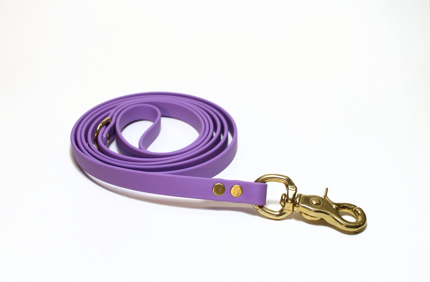 Amethyst Biothane Small Dog Leash