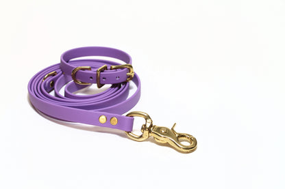 Amethyst Biothane Small Dog Leash