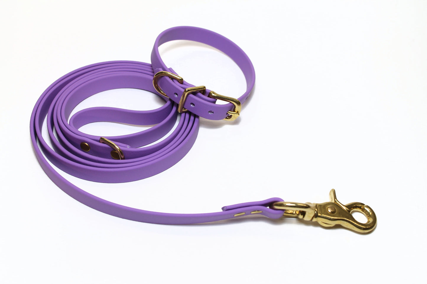 Amethyst Biothane Small Dog Leash