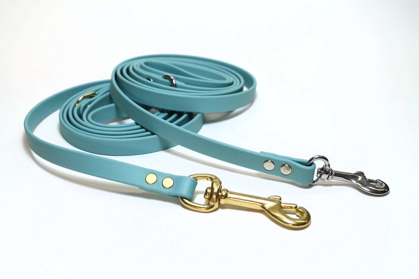 Dusty Turquoise Biothane Small Dog Leash