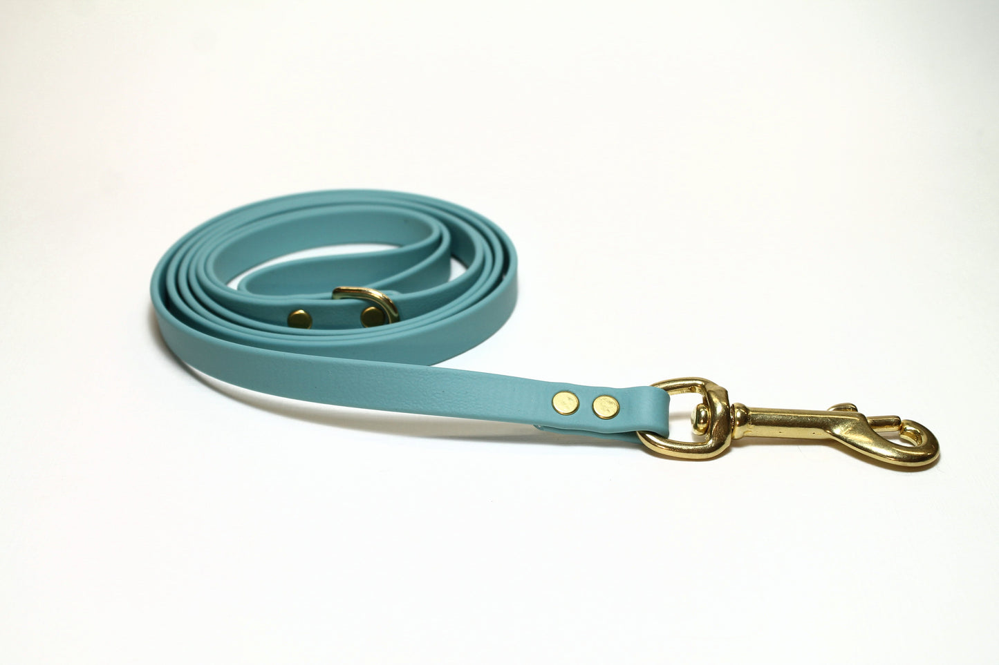 Dusty Turquoise Biothane Small Dog Leash