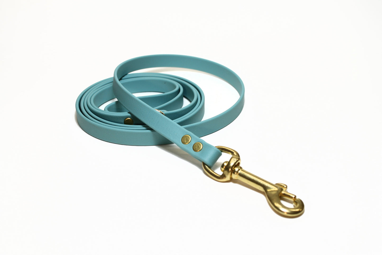 Dusty Turquoise Biothane Small Dog Leash