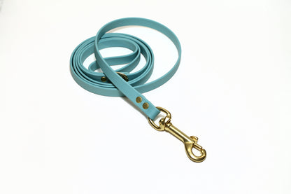Dusty Turquoise Biothane Small Dog Leash