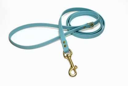 Dusty Turquoise Biothane Small Dog Leash