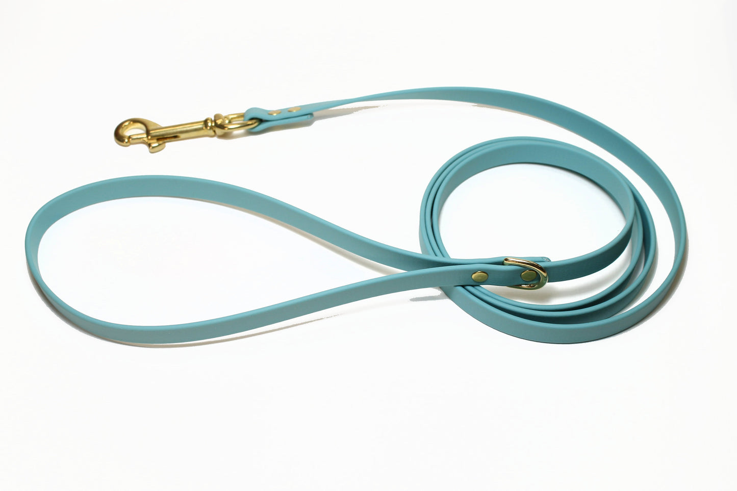 Dusty Turquoise Biothane Small Dog Leash