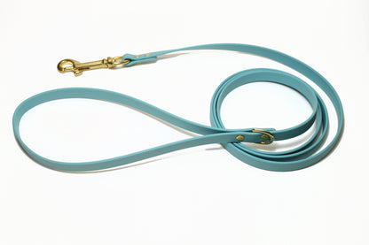 Dusty Turquoise Biothane Small Dog Leash