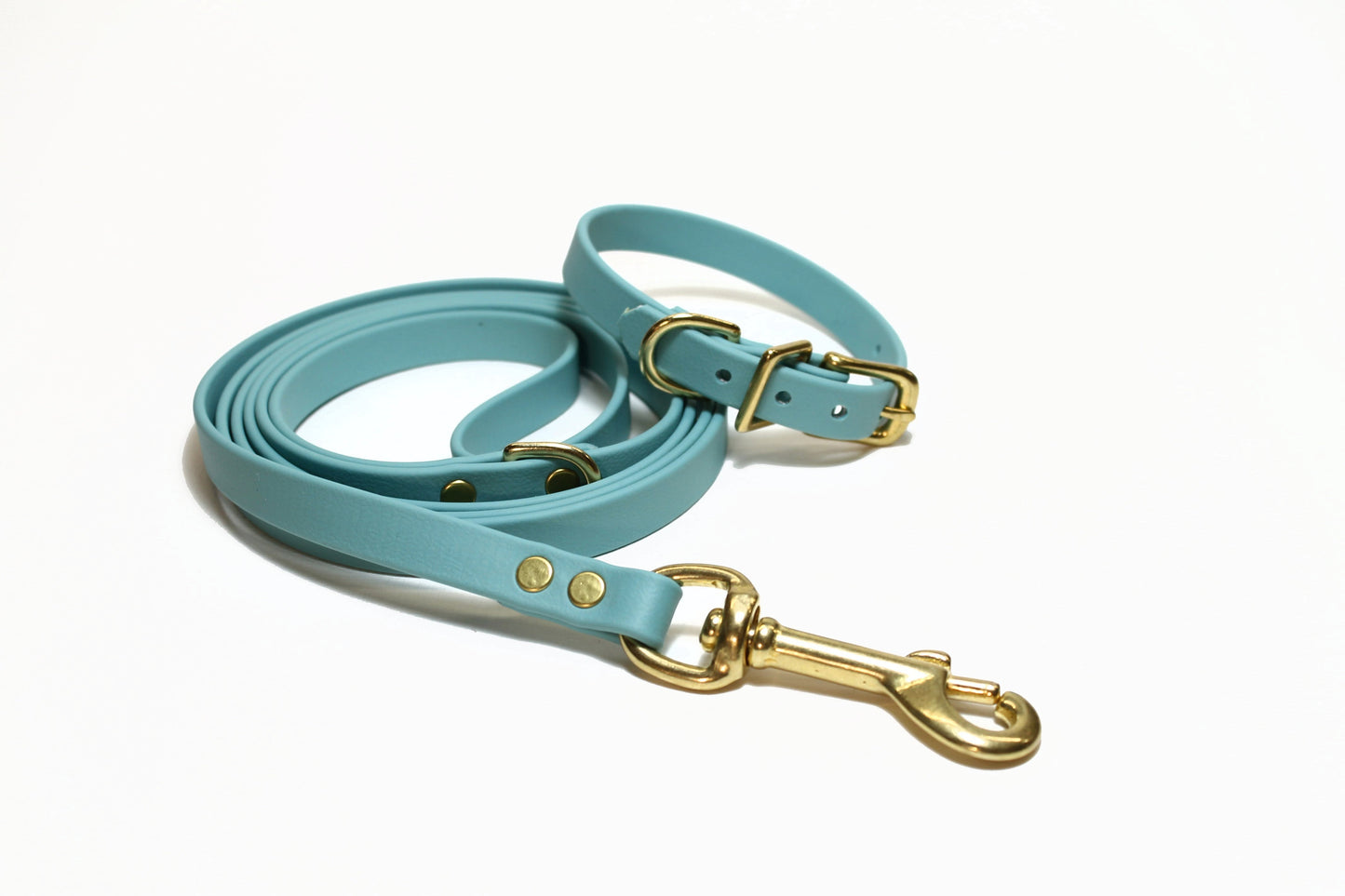 Dusty Turquoise Biothane Small Dog Leash