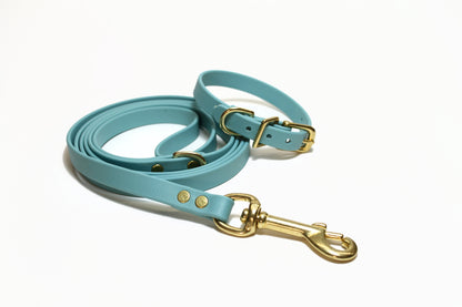 Dusty Turquoise Biothane Small Dog Leash
