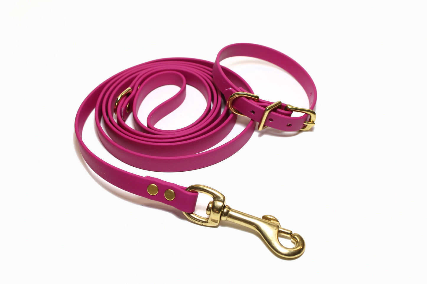 Raspberry Pink Biothane Small Dog Leash