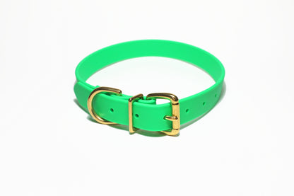 Neon Apple Green Biothane Dog Collar - 1 inch (25mm) wide