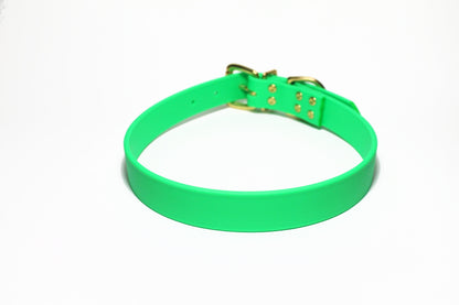 Neon Apple Green Biothane Dog Collar - 1 inch (25mm) wide