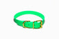 Neon Apple Green Biothane Dog Collar - 1 inch (25mm) wide