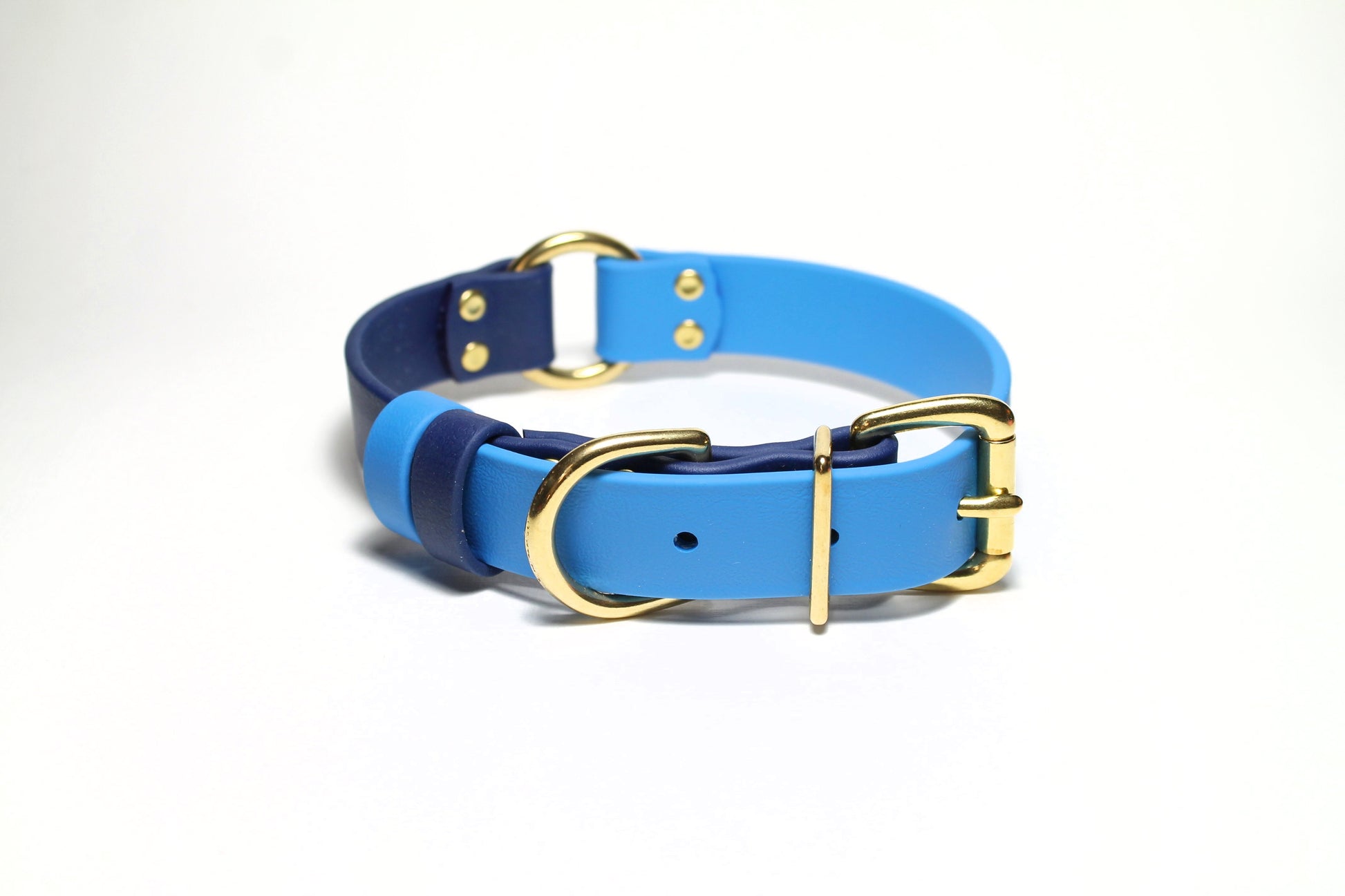 A two-tone blue dog collar with a brass O-ring and buckle, on a white background.