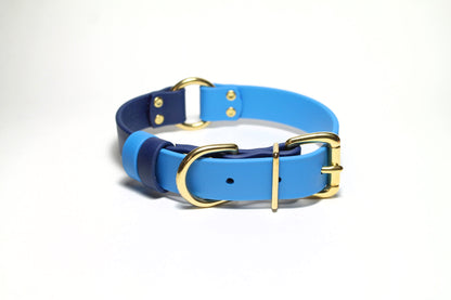 A two-tone blue dog collar with a brass O-ring and buckle, on a white background.