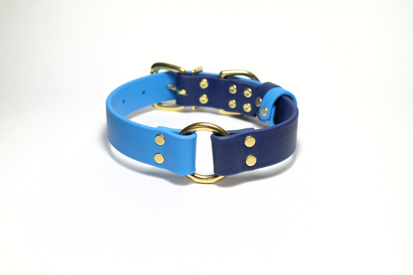 Biothane Dog Collar with O-ring - Two Tone or Solid Colours Collar - Waterproof - 1"(25mm) wide