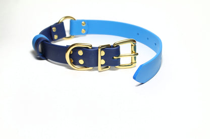 Biothane Dog Collar with O-ring - Two Tone or Solid Colours Collar - Waterproof - 1"(25mm) wide