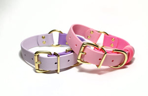 Biothane Dog Collar with O-ring - Two Tone or Solid Colours Collar - Waterproof - 1"(25mm) wide