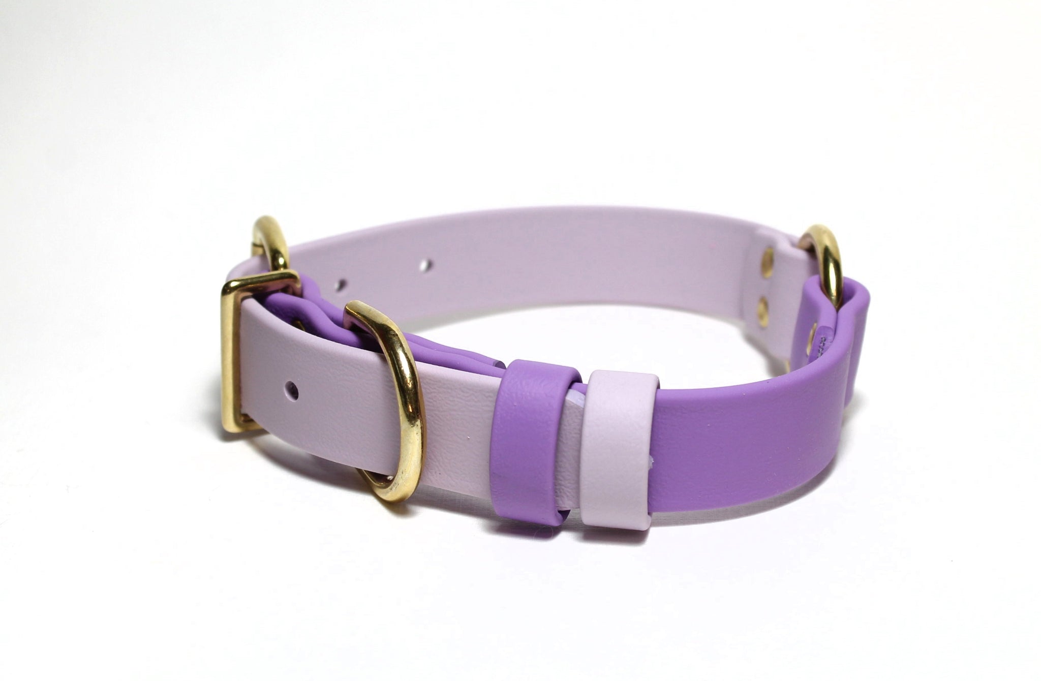 Biothane Dog Collar with O-ring - Two Tone or Solid Colours Collar - Waterproof - 1"(25mm) wide