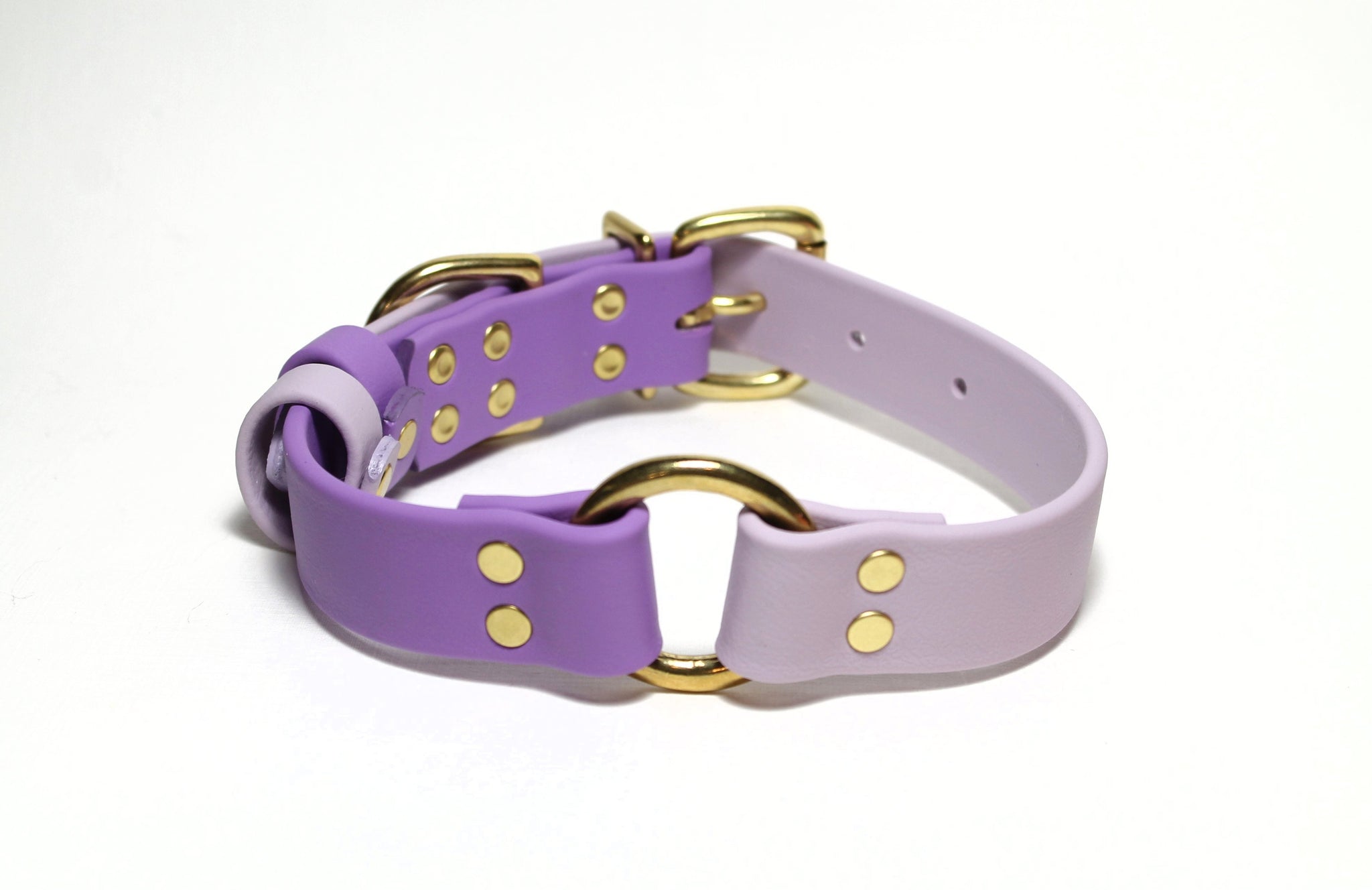 Biothane Dog Collar with O-ring - Two Tone or Solid Colours Collar - Waterproof - 1"(25mm) wide